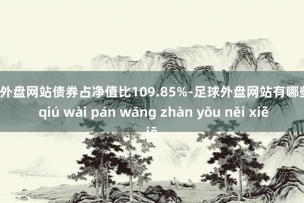 足球外盘网站债券占净值比109.85%-足球外盘网站有哪些 zú qiú wài pán wǎng zhàn yǒu něi xiē