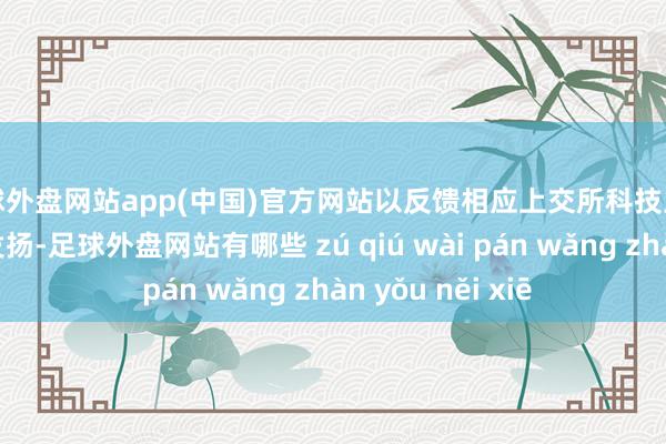 足球外盘网站app(中国)官方网站以反馈相应上交所科技立异公司债的合座发扬-足球外盘网站有哪些 zú qiú wài pán wǎng zhàn yǒu něi xiē