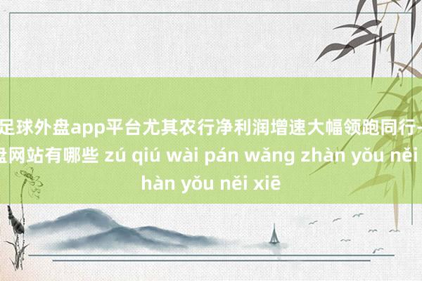 现金足球外盘app平台尤其农行净利润增速大幅领跑同行-足球外盘网站有哪些 zú qiú wài pán wǎng zhàn yǒu něi xiē