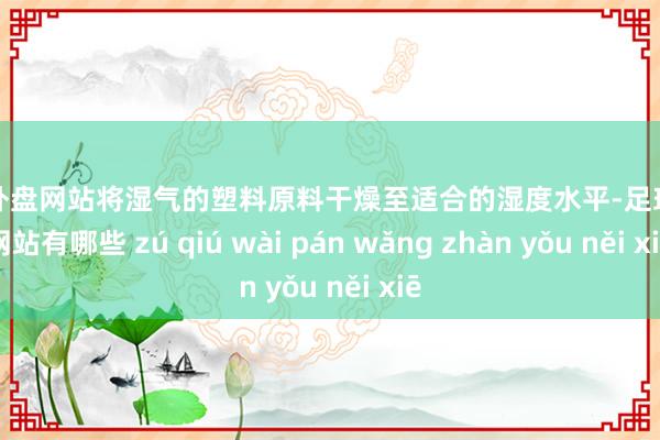 足球外盘网站将湿气的塑料原料干燥至适合的湿度水平-足球外盘网站有哪些 zú qiú wài pán wǎng zhàn yǒu něi xiē