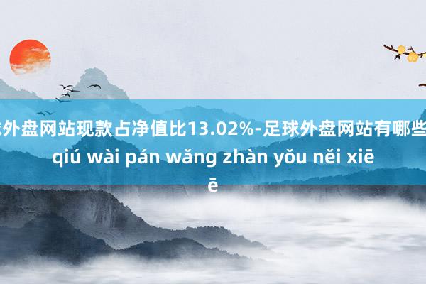 足球外盘网站现款占净值比13.02%-足球外盘网站有哪些 zú qiú wài pán wǎng zhàn yǒu něi xiē