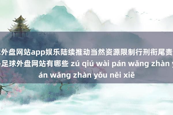 足球外盘网站app娱乐陆续推动当然资源限制行刑衔尾责大肆见落地见效-足球外盘网站有哪些 zú qiú wài pán wǎng zhàn yǒu něi xiē